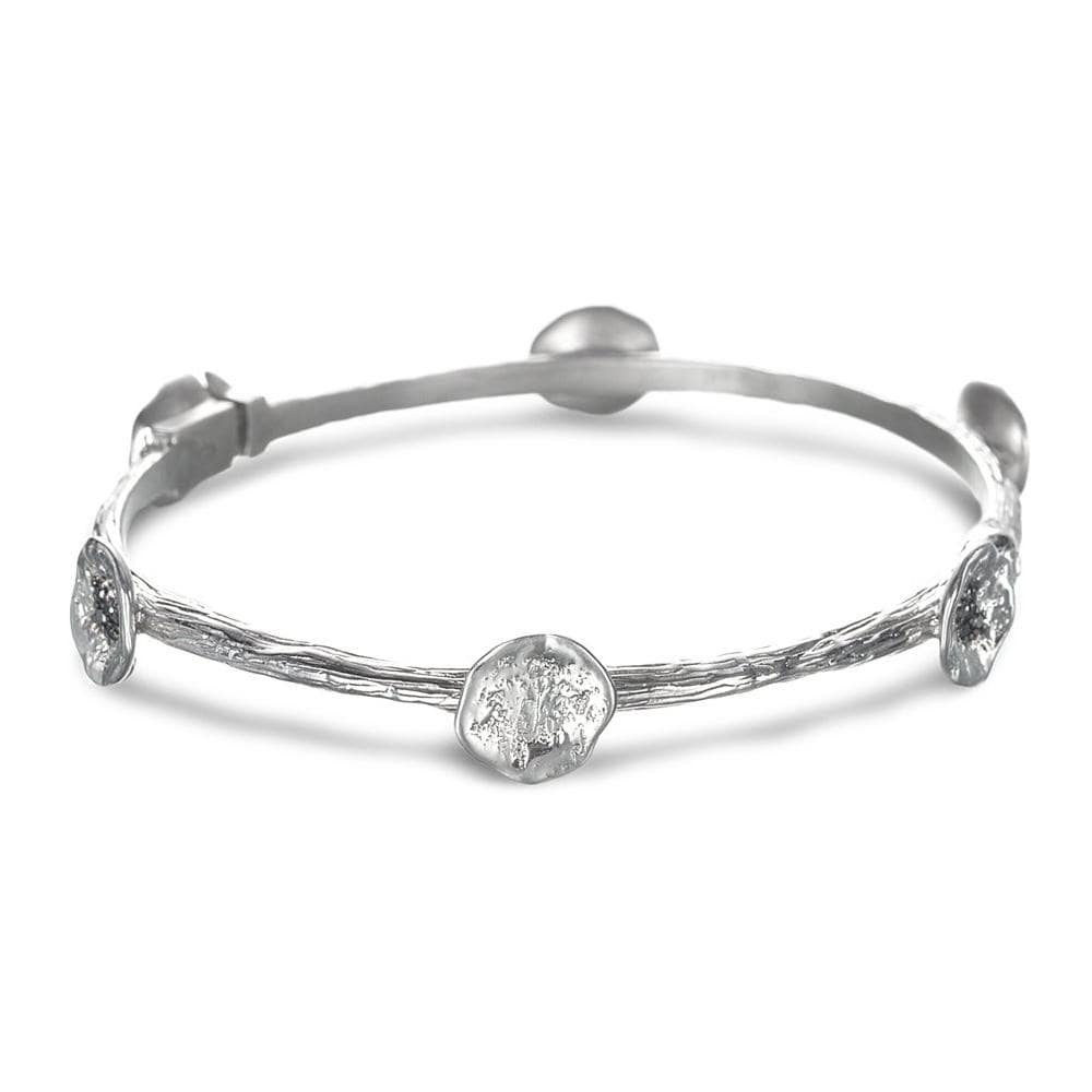 SERENITY BANGLE SET WITH EARRINGS-BUNDLE (SILVER/GOLD) main image 1